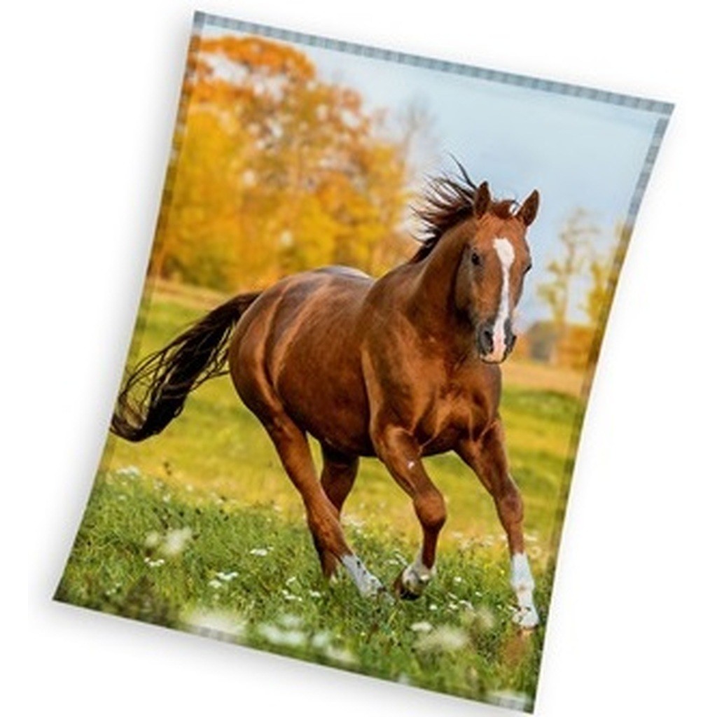 Heste Coral Fleece tæppe - 150 x 200 cm Model 3