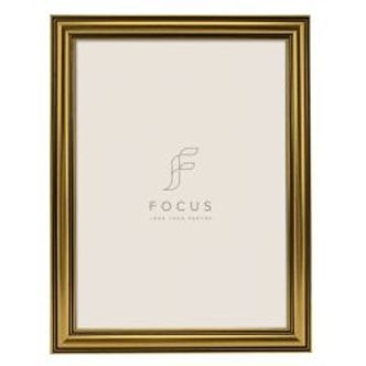 Focus Holly Gold 18x24