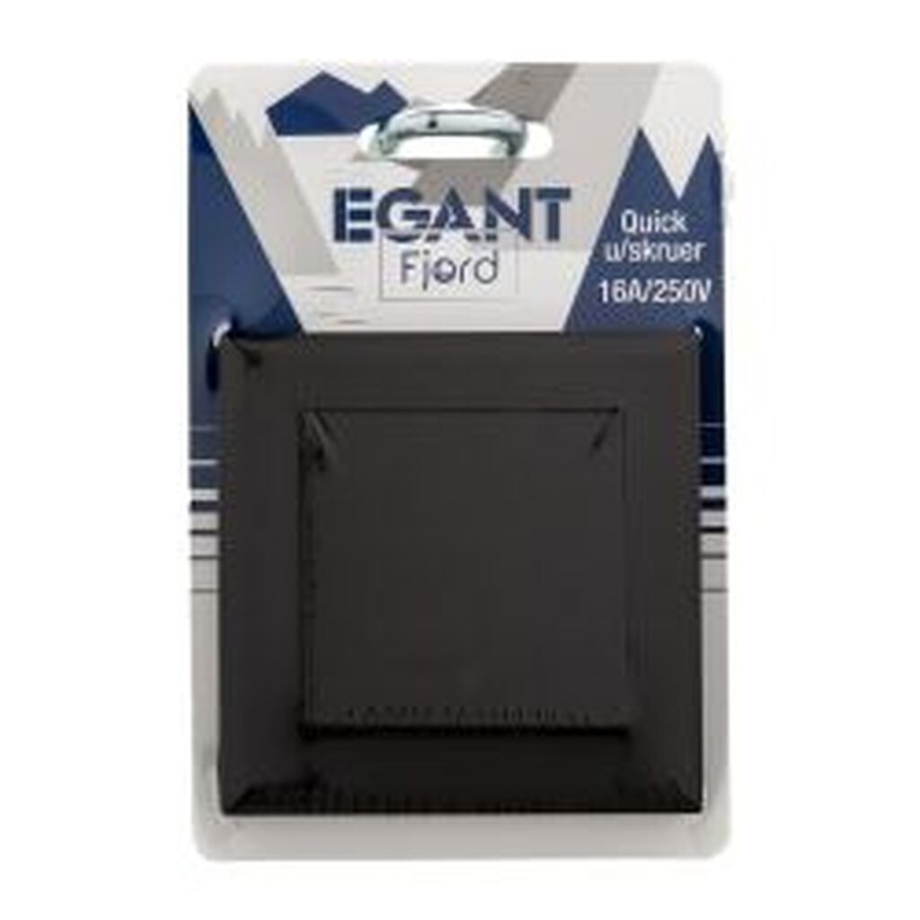 Egant Switch Flush 2-pole