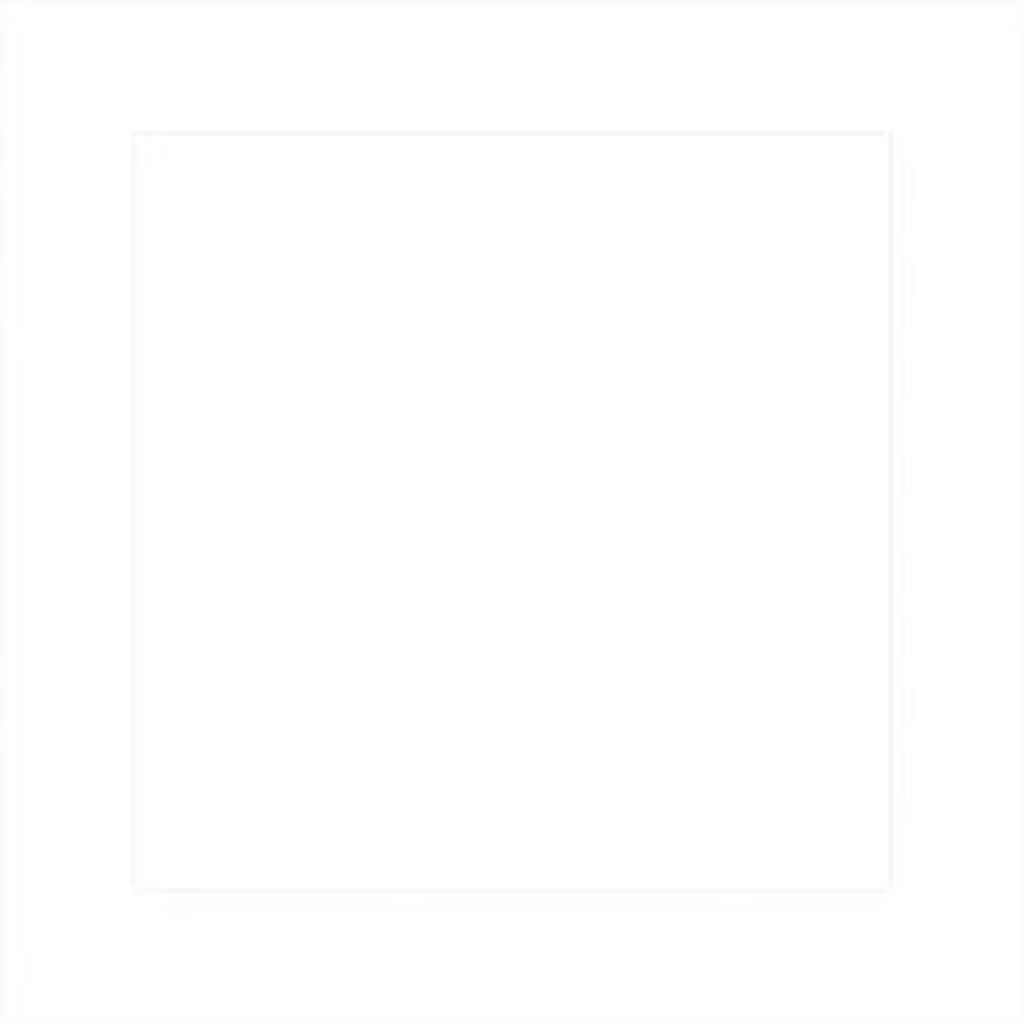 Focus Passepartout 50x50 White