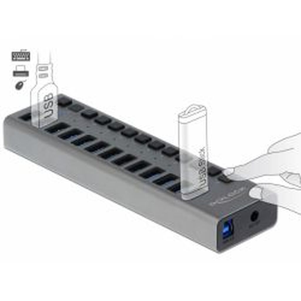 Delock External Superspeed Usb Hub With 13 Ports + Switch