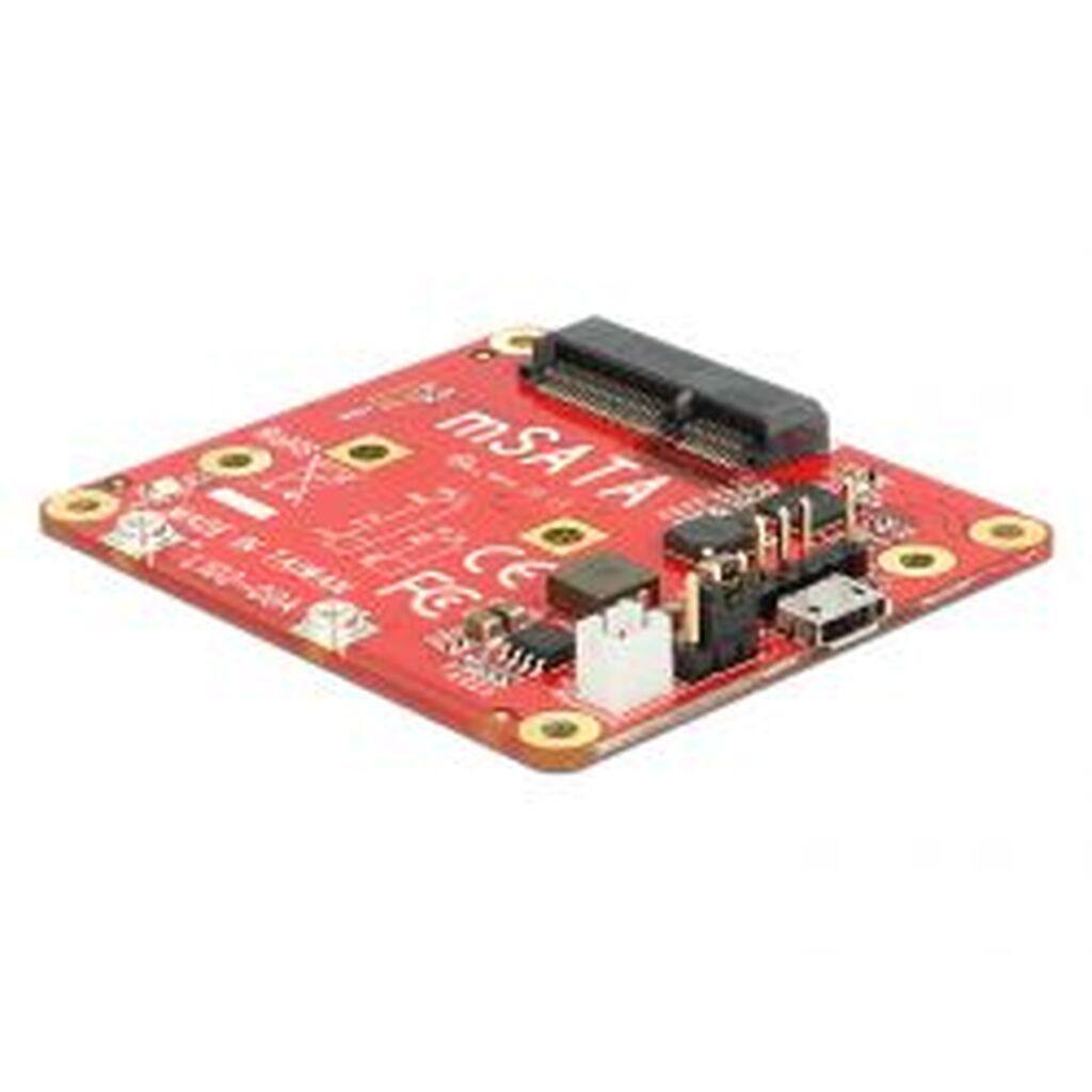 Delock Raspberry Msata Module, Type Micro-b, Incl. Mounting Kit
