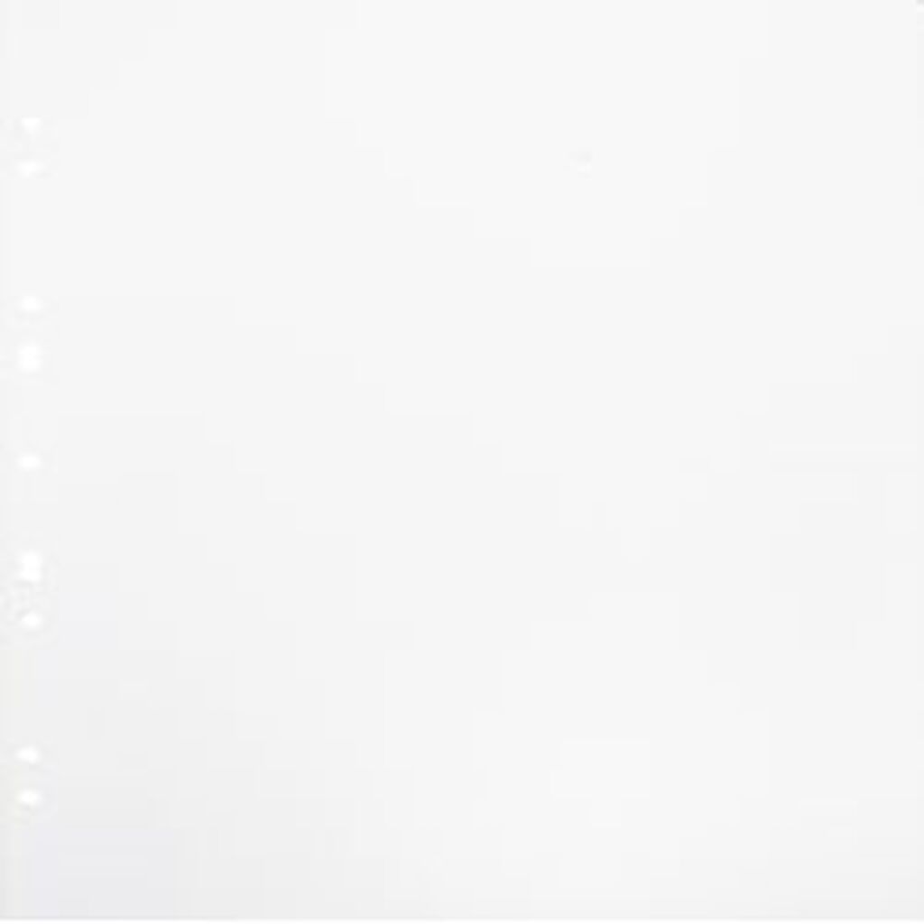 Focus Carton Refillsheets for Ringbinder Gigant White 10-pack