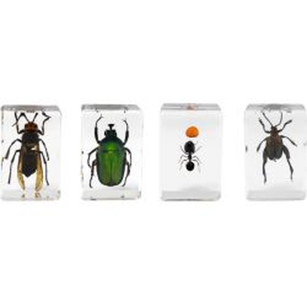 Celestron Microscope sample 3D bug Kit #5 - Mikroskop