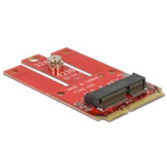 Delock Adapter Mini Pcie &gt; M.2 Key E Slot