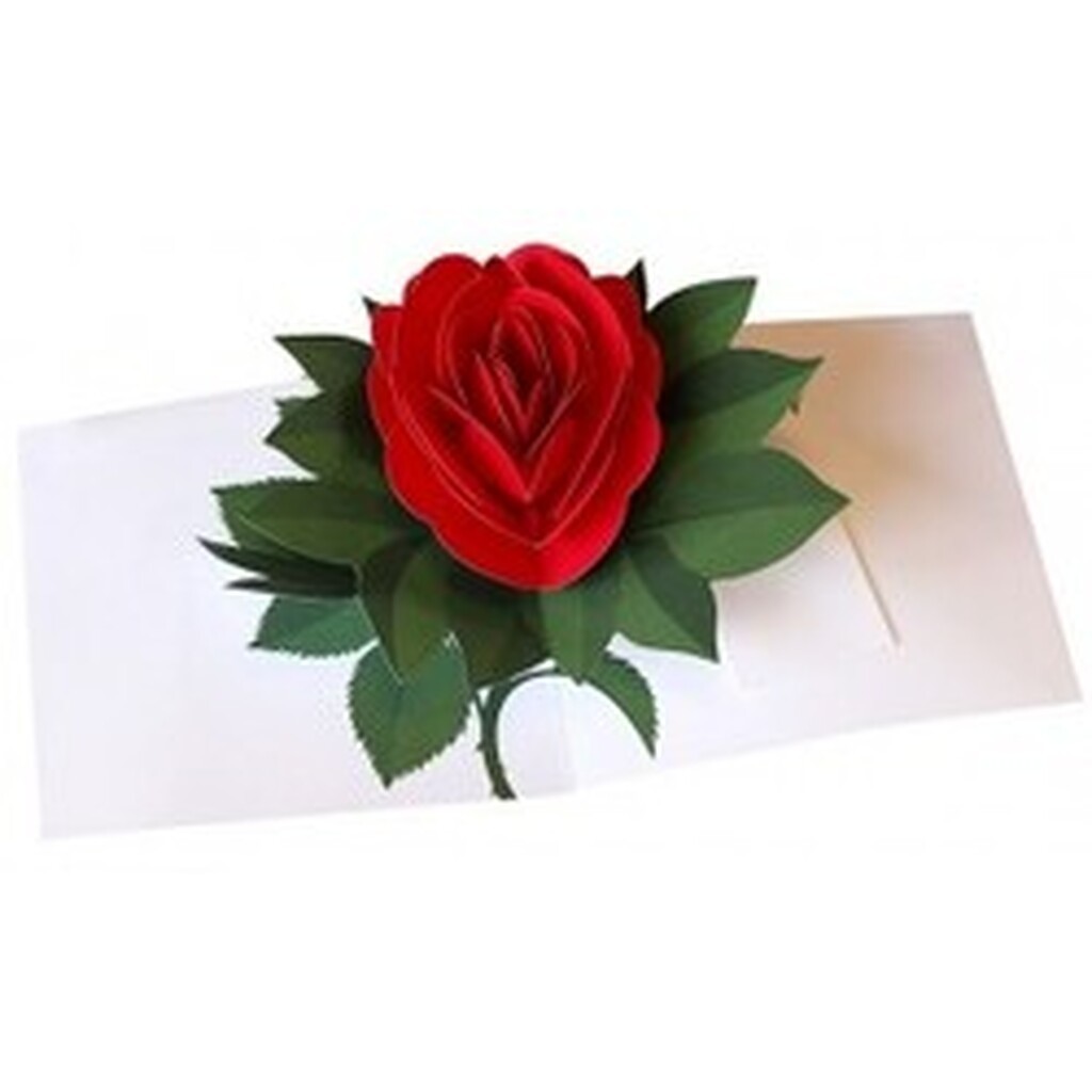 Pop-up Card Rose Red