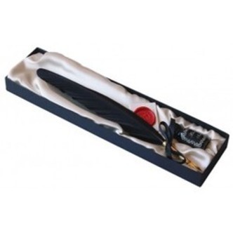 Quill & Ink Set