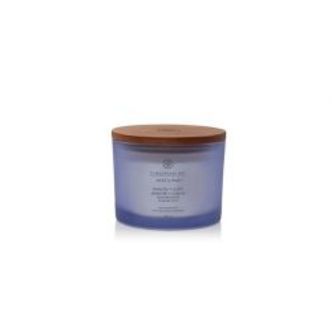 Yankee Candle Lavender Thyme Serenity & Calm - Duftlys