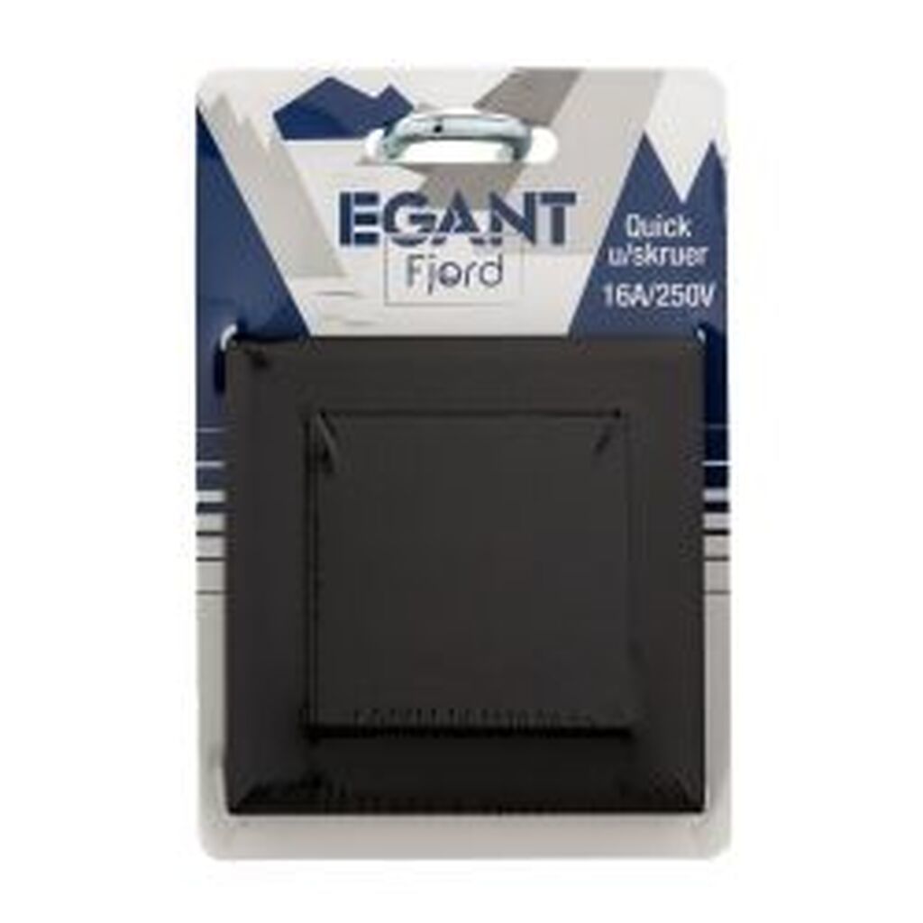 Egant Switch Flush 1-pole/6