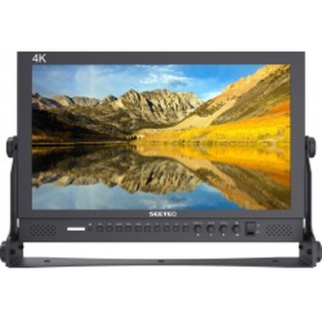 SEETEC monitor P173-9HSD 17.3 inch