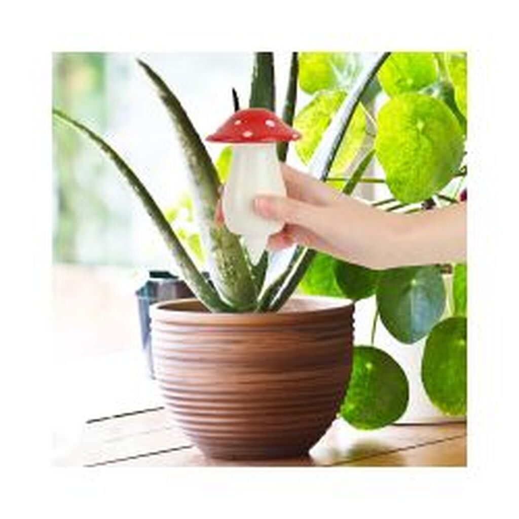 Gift Republic Self Watering Mushroom - Diverse