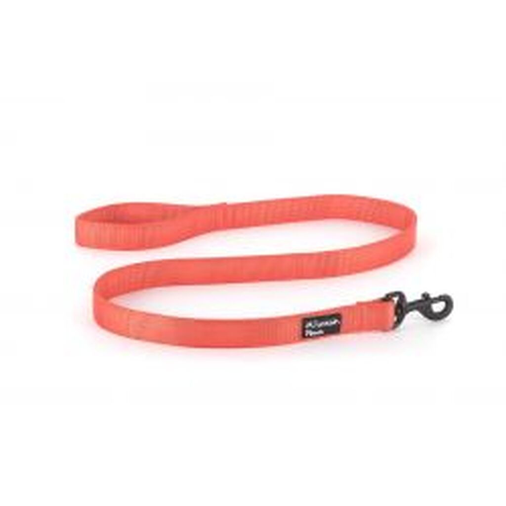 Mountain Paws Extra Tough Dog Lead, Orange - Hundeudstyr
