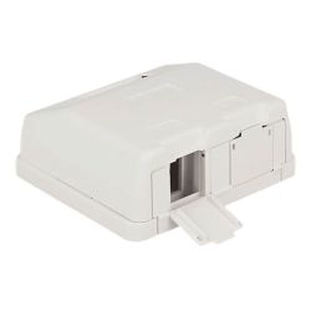 Delock Keystone Surface Mounted Box 2 Port With Dust Cover