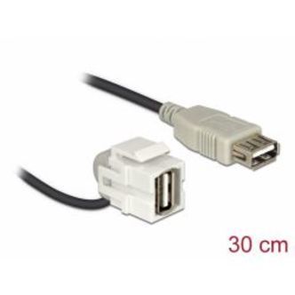 Delock Keystone Module Usb 2.0 A Female 110Â°&gt;usb 2.0 A Female Cable