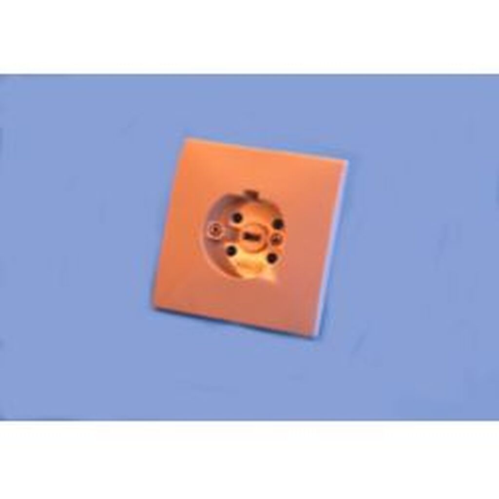 Hanestroem Perilex Wall Socket