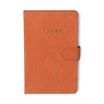 DesignWorks Ink Mini Password Journal Kodebog - Asterisks - Notesbog