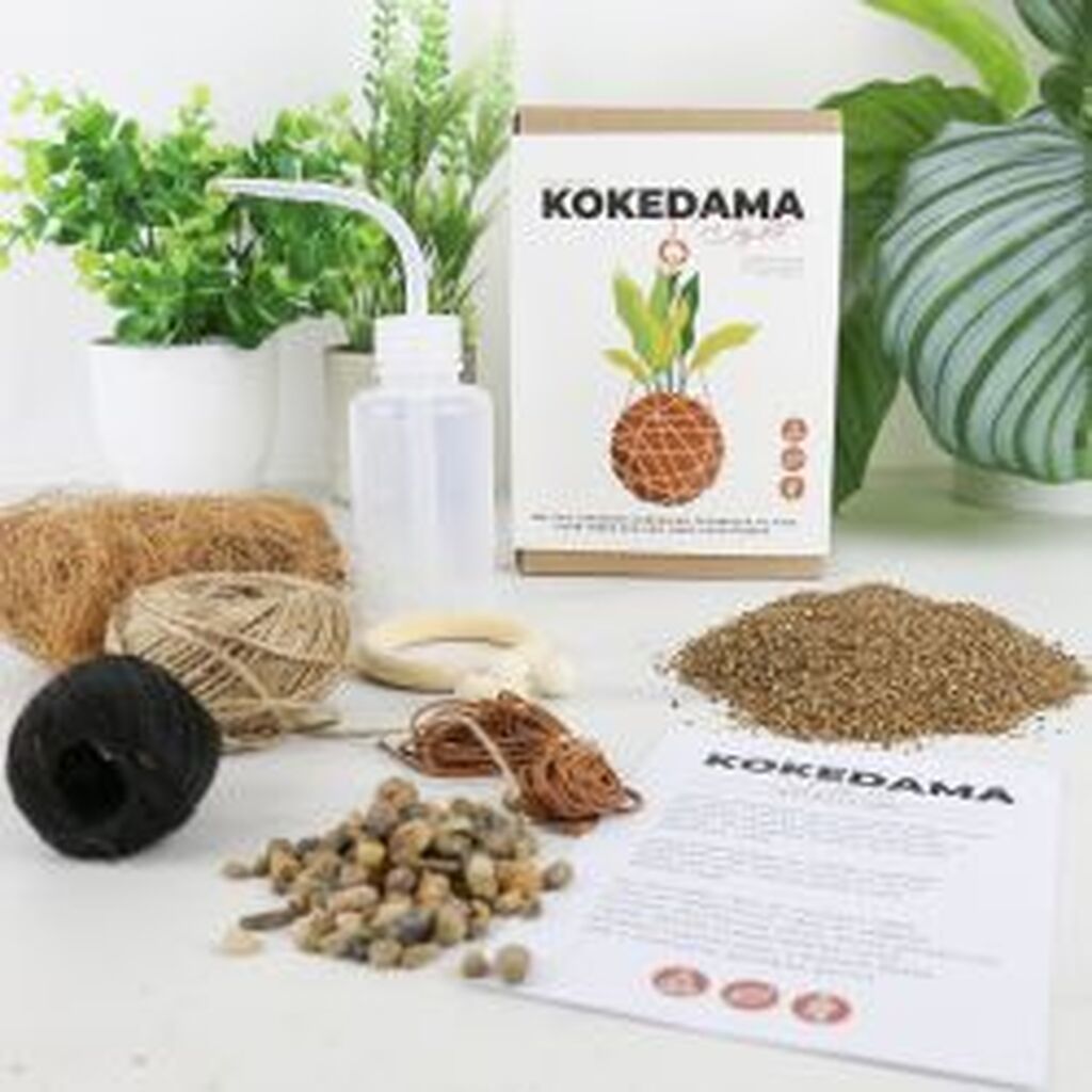 Gift Republic Do-it-yourself Kit Kokedama - Diverse