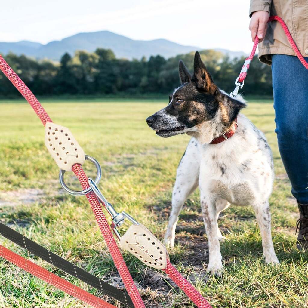 Hundesnor 2 meter m/karabinhage i krom - Rund - ø1 cm - - Rød