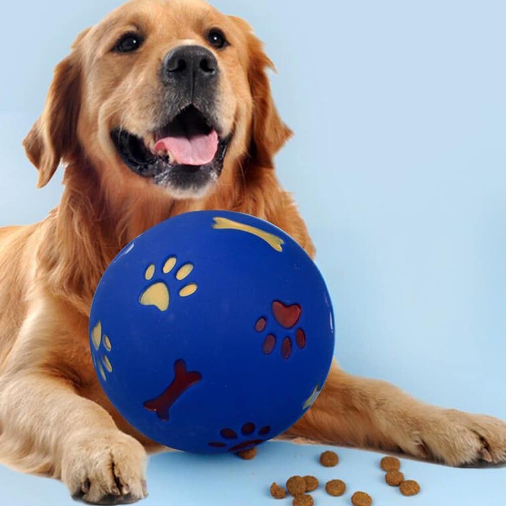 Hunde Aktivitetsbold - til glæde og gavn for din hund - 10 cm