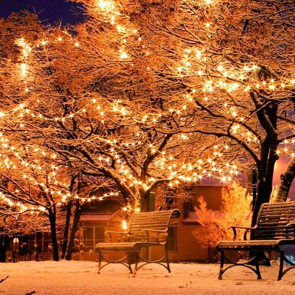 LED-lyskæde - indendørs/udendørs 10 meter, grøn, multifarvet eller blå - Multifarve