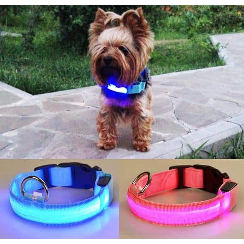 Hundehalsbånd med led-lys - Pink - Medium