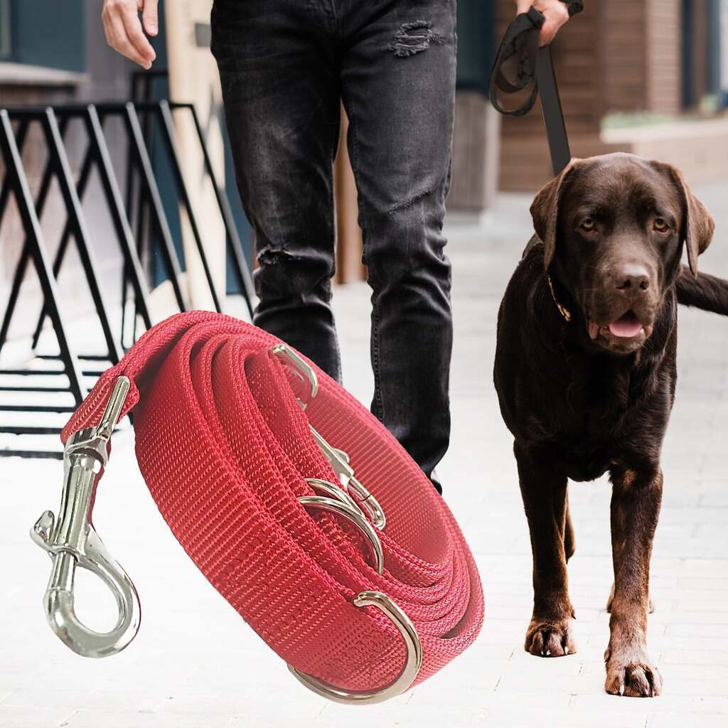 Hundesnor i Nylon - 2 meter lang - 2,5 cm bred - Rød