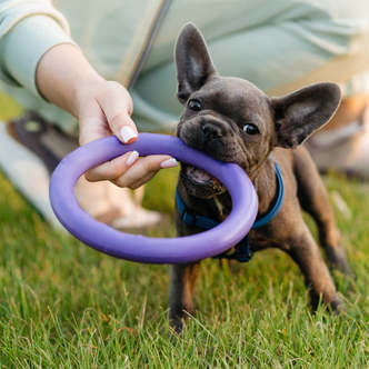 Hunde Anti-Bide træningsring ø9 cm af gummi - ass. farver -
