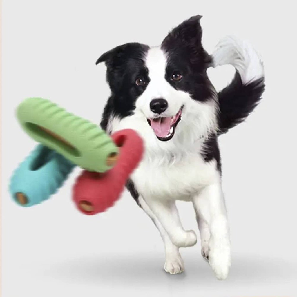 Hundelegetøj  -  Krokodilleformet Tyggepind til Tandrensning