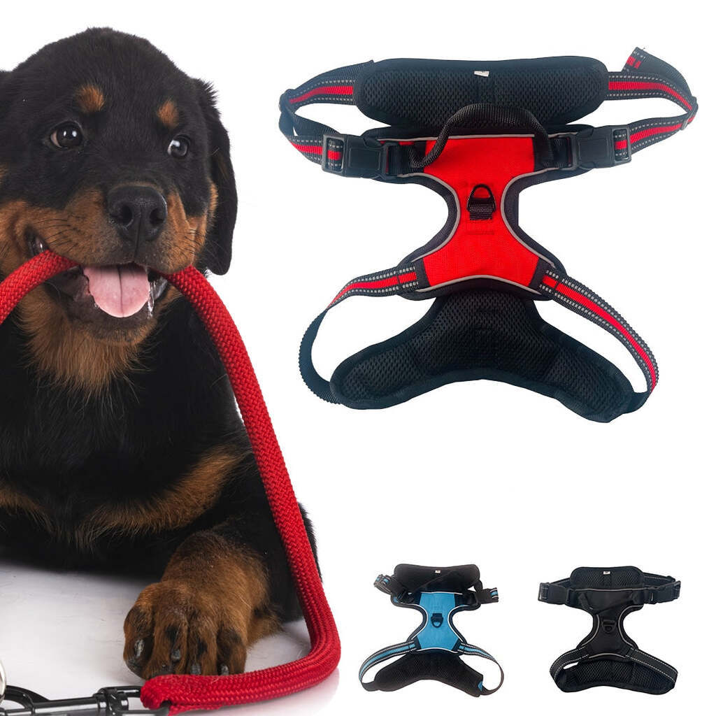 Blød Luksus Hundesele m/refleks - robust & vandfast - rød, sort eller blå - Blå S