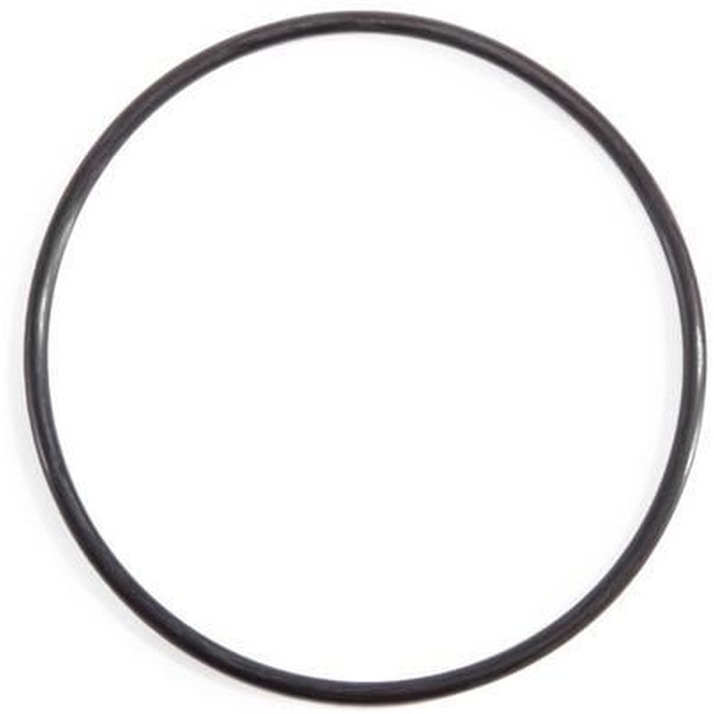 O-Ring (Elektrolyse) Til 28423/28424