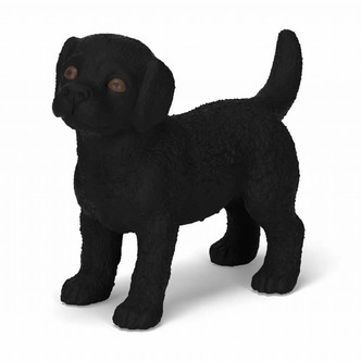 Sort Labrador Retriever Hvalp