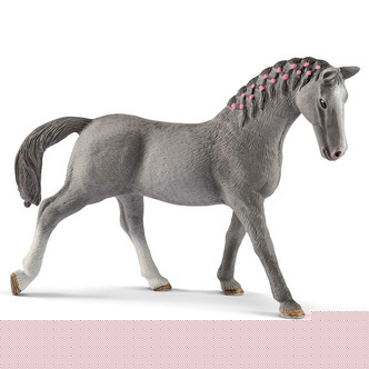 Trakehner, hoppe
