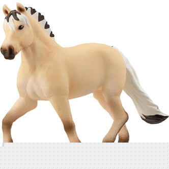 Norske fjordhestehoppe