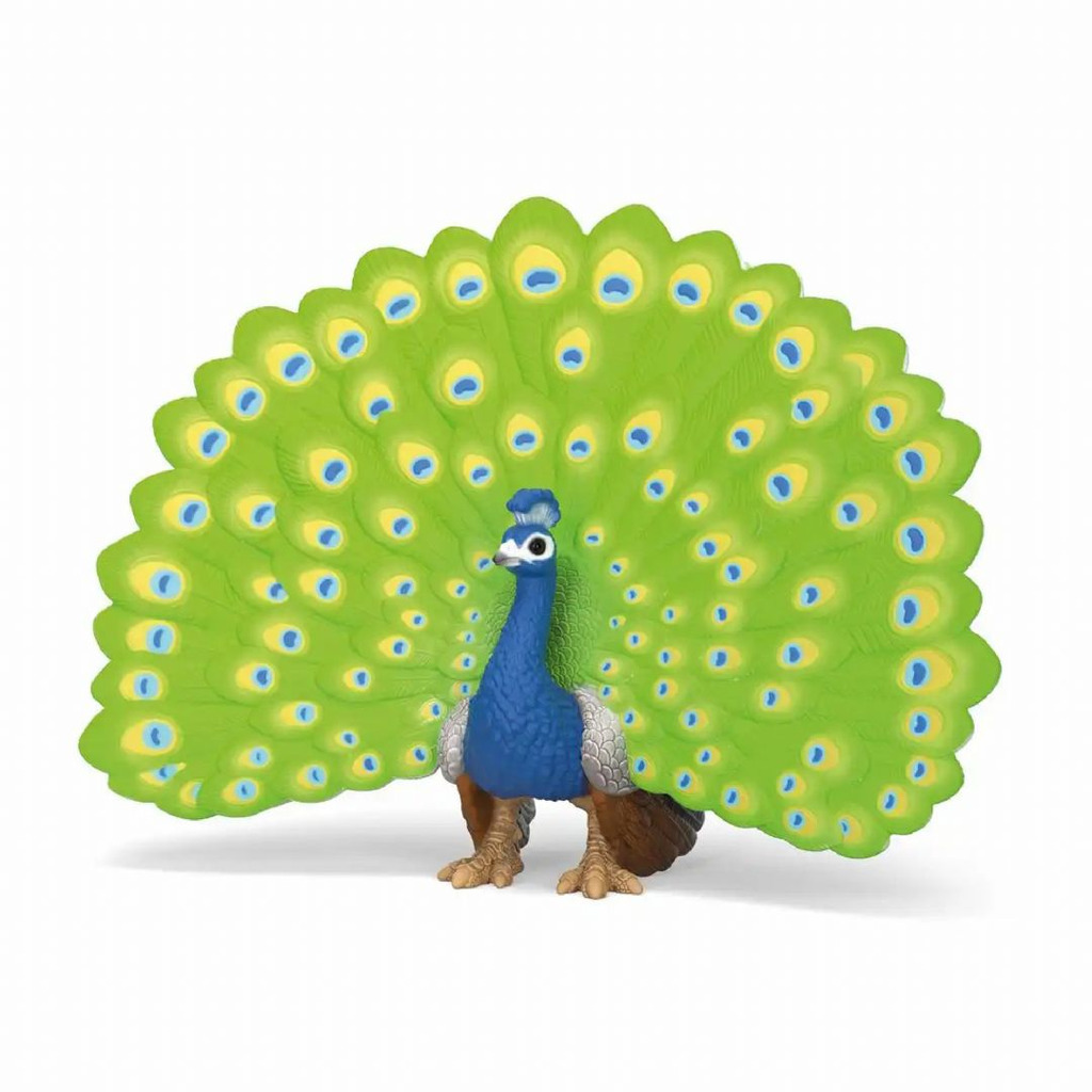 Påfugl