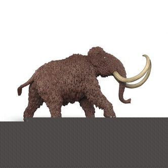 Mammut