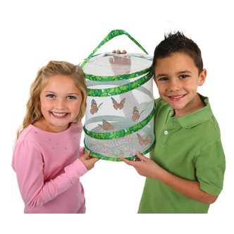 Sommerfuglehave m. 5 stk larver (kupon)