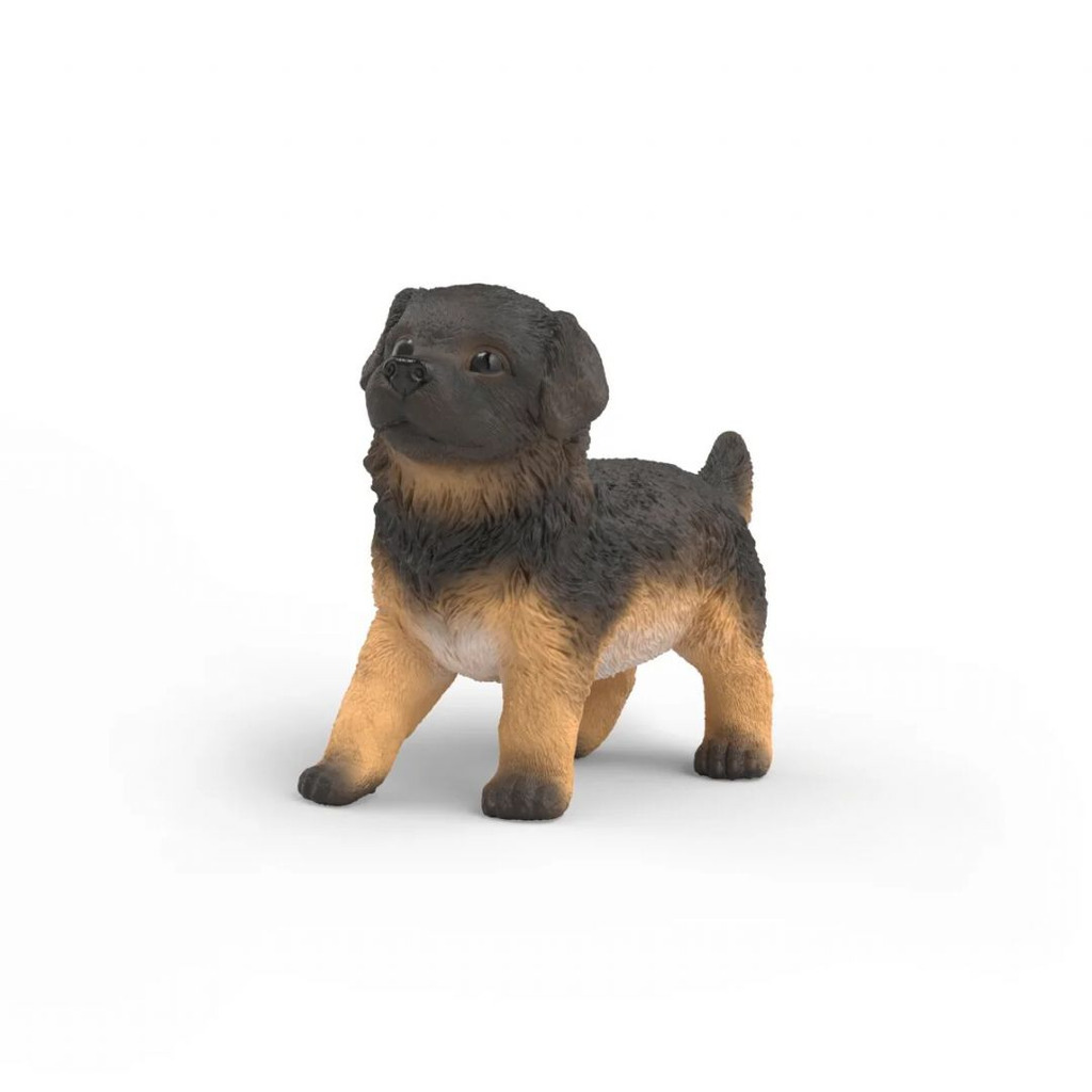 Tysk Schæferhund Hvalp