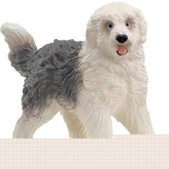 Old English Sheepdog hund