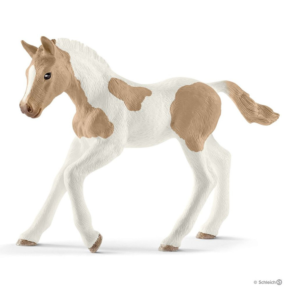 Paint Horse, føl