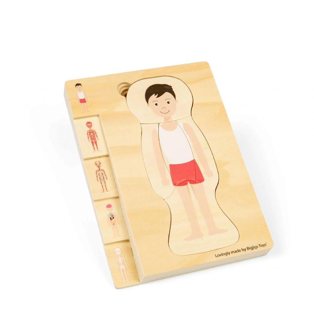 Træ Puslespil Anatomi, dreng