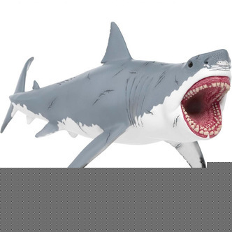 Megalodon