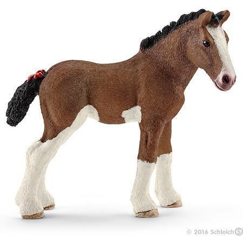 Clydesdale føl