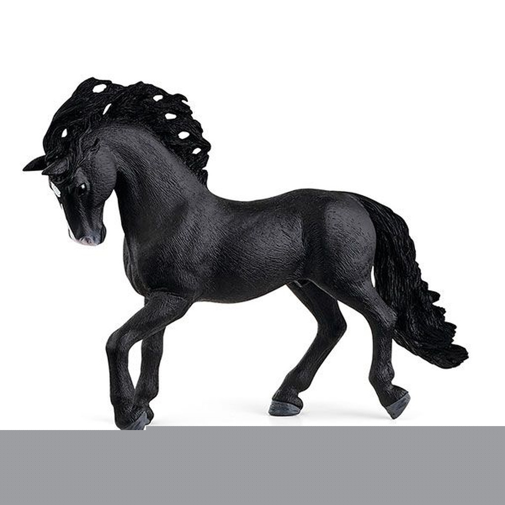 Pura Raza Espanola Hingst