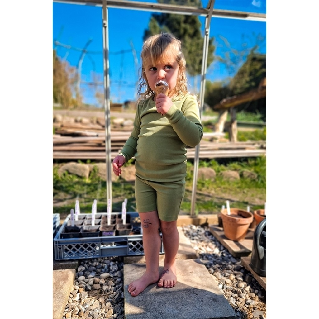 BIRKHOLM Rib Shorts Salvie Grøn