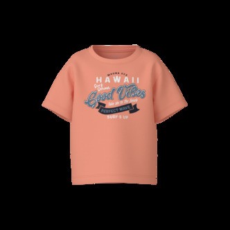 NAME IT Løs T-Shirt Vagno Papaya Punch