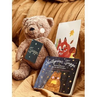 Gavesæt med bamse og bog