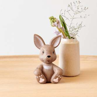 Klarborg Hare - Store Nøk