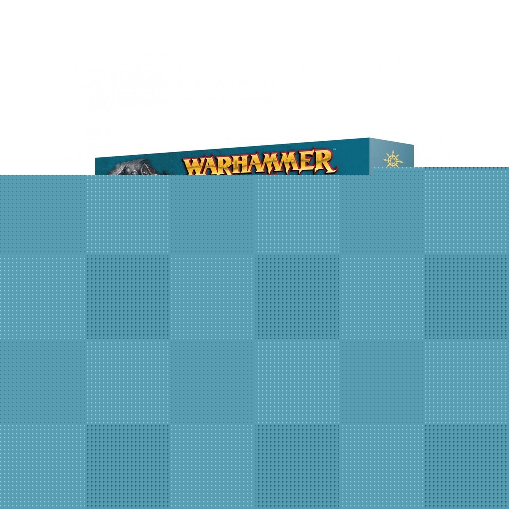 Chaos Marauders Horsemen - Warriors of Chaos - Warhammer: The Old World - Games Workshop