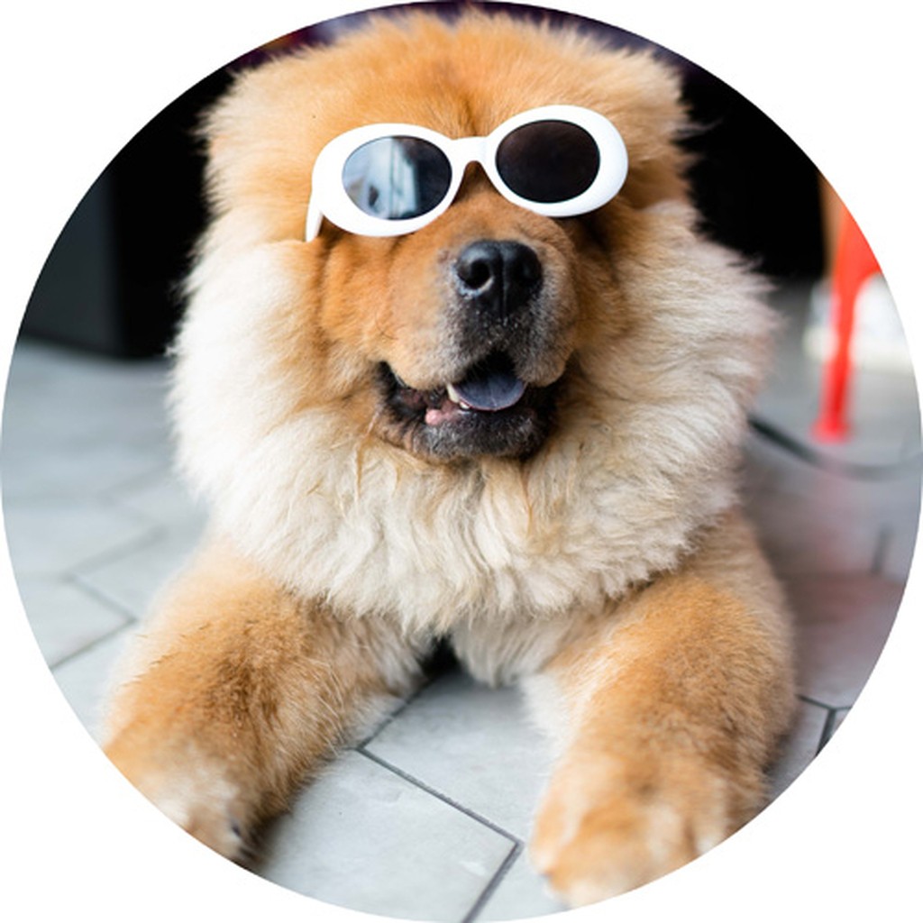 Hund rundt kageprint / sukkerprint - 19 cm.