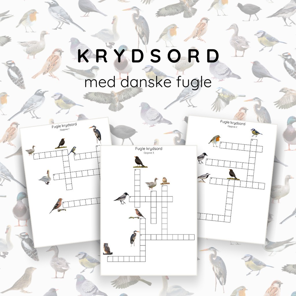 Krydsord med fugle - print selv